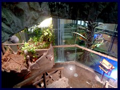 Universeum 65